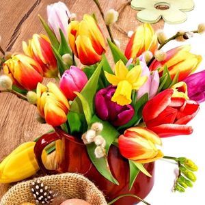 Meet your Posher, Cheri